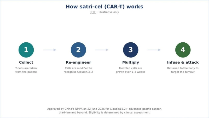 World-First Solid-Tumour CAR-T Approved in China (2026) Kinze1